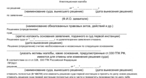 Компания подает апелляционную жалобу. Какие тонкости оформления помогут избежать трудностей