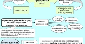 Установление кадрового учета на предприятии с нуля