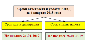 Сроки уплаты ЕНВД в 2019 году