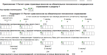 пример заполнения нулевой отчетности РСВ-1 в 2019 году пример заполнения нулевой отчетности РСВ-1 в 2019 году