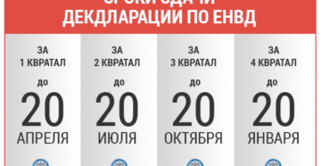 Срок сдачи и уплаты ЕНВД на 2019 год