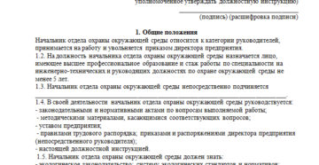 Должностная инструкция начальника охраны предприятия