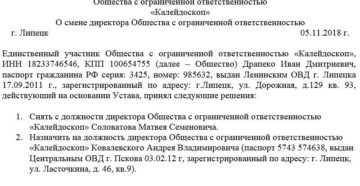 Ответственность учредителя и директора ООО в 2019 году Ответственность учредителя и директора ООО в 2019 году