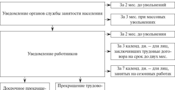Как уволить сотрудников при банкротстве без проблем? Как уволить сотрудников при банкротстве без проблем?