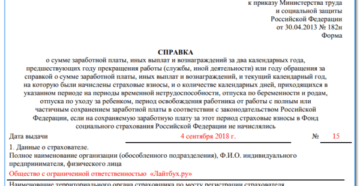 пример и бланк справки 4н