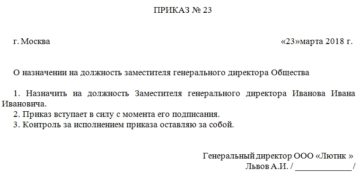 Приказ о назначении директора ООО: пример 2019 года