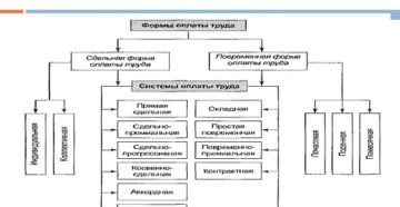 Формы оплаты труда и системы заработной платы Формы оплаты труда и системы заработной платы
