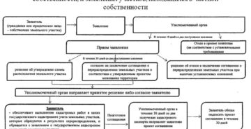 Как оформить продажу земельного участка, находящегося в частной собственности Как оформить продажу земельного участка, находящегося в частной собственности