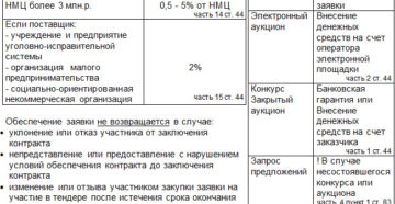 Обеспечение заявки в электронном аукционе по закону 44-ФЗ Обеспечение заявки в электронном аукционе по закону 44-ФЗ