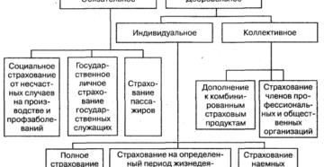Виды страхования от несчастных случаев на производстве Виды страхования от несчастных случаев на производстве