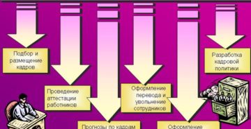 Должностные обязанности начальника отдела кадров Должностные обязанности начальника отдела кадров