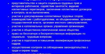Профсоюзное представительство: изъяны правовой защиты интересов работника Профсоюзное представительство: изъяны правовой защиты интересов работника