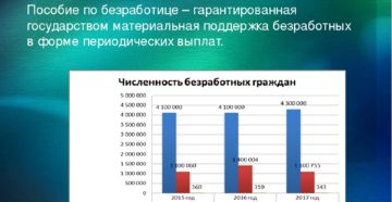 Как и где получить пособие по безработице Как и где получить пособие по безработице