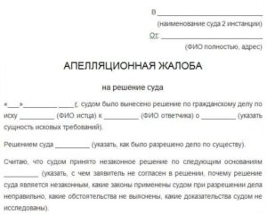 Компания подает апелляционную жалобу. Какие тонкости оформления помогут избежать трудностей
